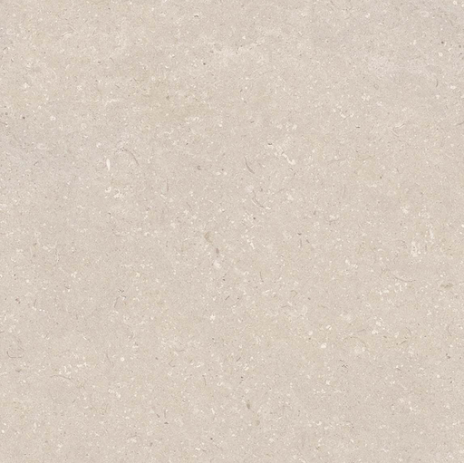 Porcelanosa Coral Caliza L 80x80cm tile