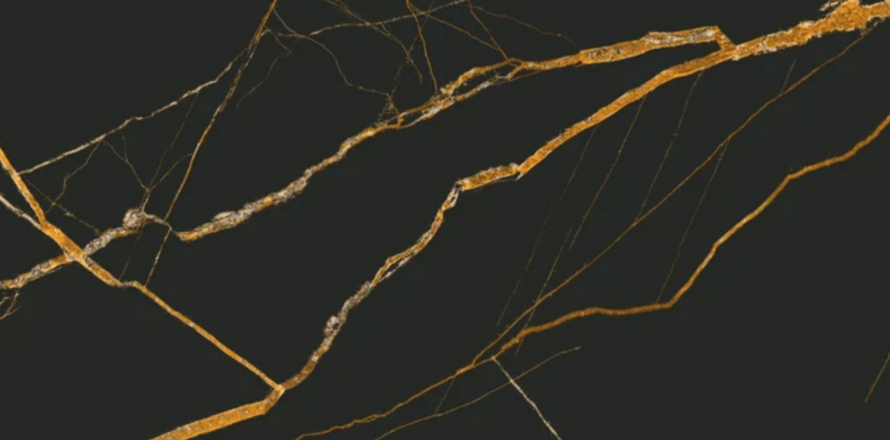 Greenwich Midnight Gold Polished 60x120cm image 5