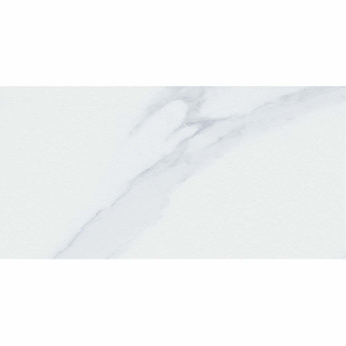 Montclair Matt Porcelain Wall & Floor 600x300mm