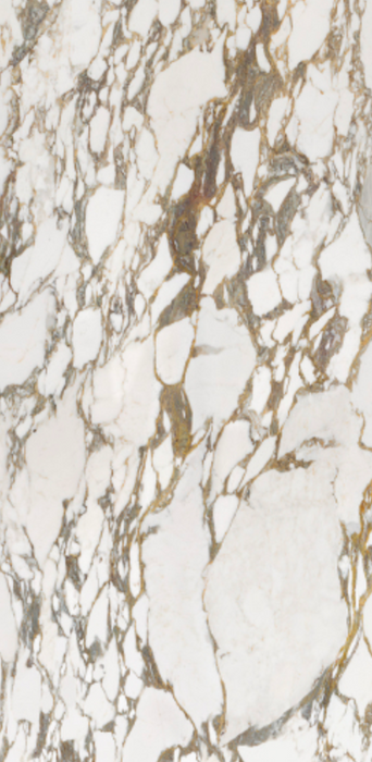 Villeroy & Boch Marble Selection Arabescato Joy Polished 60 x 120cm - product image 3
