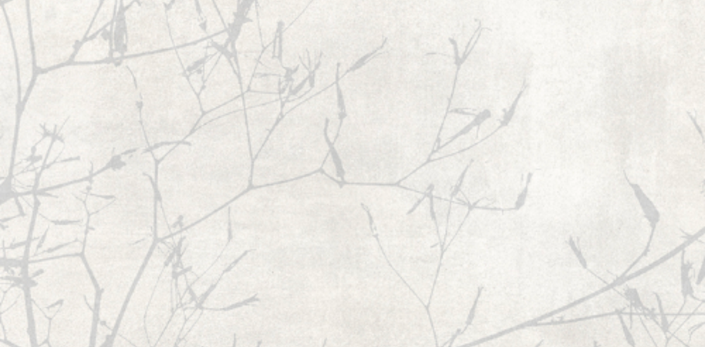 Villeroy & Boch Spotlight Light Grey 30 x 60cm - Villeroy & Boch tile
