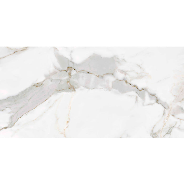 Regent Matt Glazed Porcelain Wall & Floor – 60x120cm