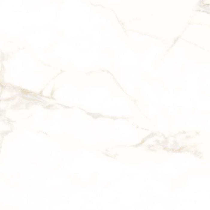 Pembroke Matt Porcelain Wall & Floor Tile – 60x60cm - product image 3