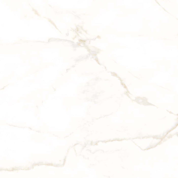 Pembroke Matt Porcelain Wall & Floor Tile – 60x60cm - product image 2