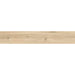 Rovelle Birch Matt Glazed Porcelain Wall & Floor – 20x120cm - product image 3