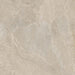 Jasselle Beige Matt Porcelain Wall & Floor – 120x120cm