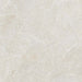 Jasselle Light Grey Matt Porcelain Wall & Floor – 120x120cm - product image 3